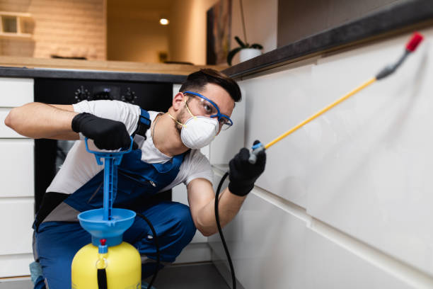 Best Rat Extermination Near Me  in Brodhead, WI