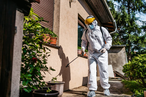 Best Wasp Removal Services  in Brodhead, WI