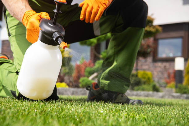 Best Bed Bug Extermination  in Brodhead, WI