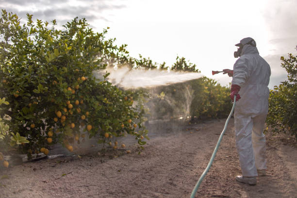 Best Wildlife Control Services  in Brodhead, WI