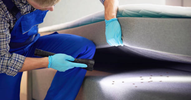 Best Affordable Pest Control Services  in Brodhead, WI