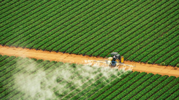 Best Pest Control Treatment  in Brodhead, WI