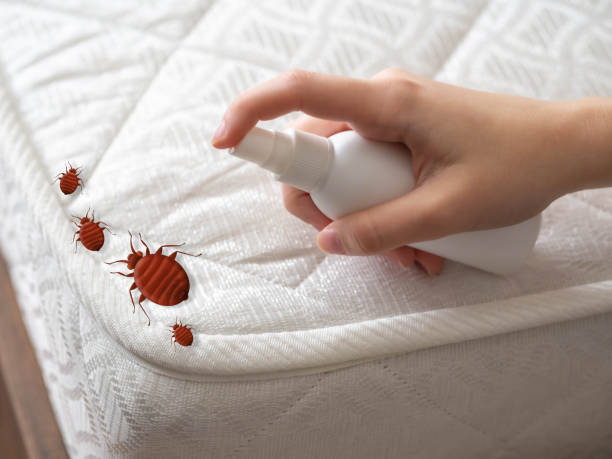 Best Commercial Pest Control Services  in Brodhead, WI