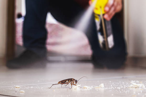 Best Exterminator Services  in Brodhead, WI