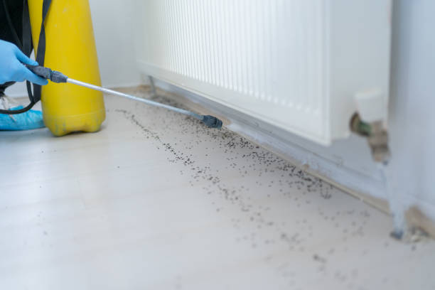 Best Local Pest Control Services  in Brodhead, WI