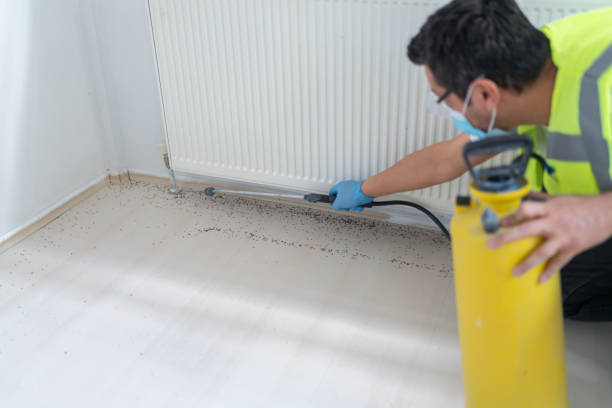 Best Residential Pest Control  in Brodhead, WI