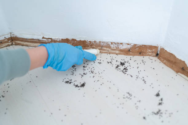 Best Pest Prevention Services  in Brodhead, WI